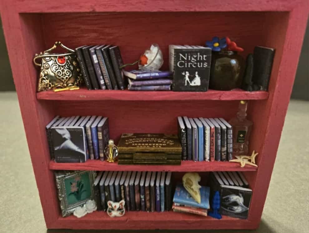 Dark Romance Mini Bookshelf - Pink